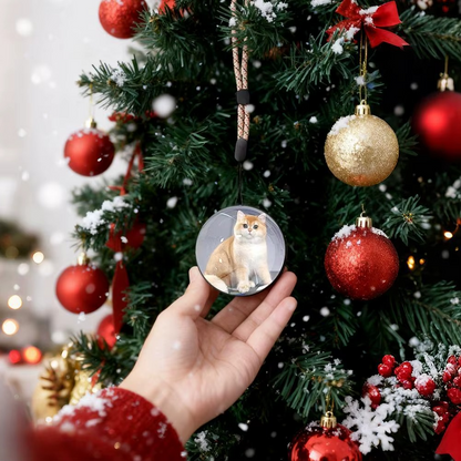 LumiGlobe™ – Bring Your Memories to Life on Your Christmas Tree!